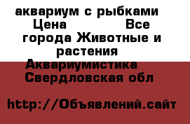 аквариум с рыбками › Цена ­ 15 000 - Все города Животные и растения » Аквариумистика   . Свердловская обл.